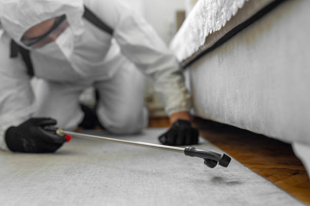 Professional Termite Control technician working in Cresskill, NJ