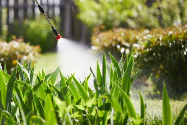 24/7 Emergency Termite Control experts in Cresskill, NJ